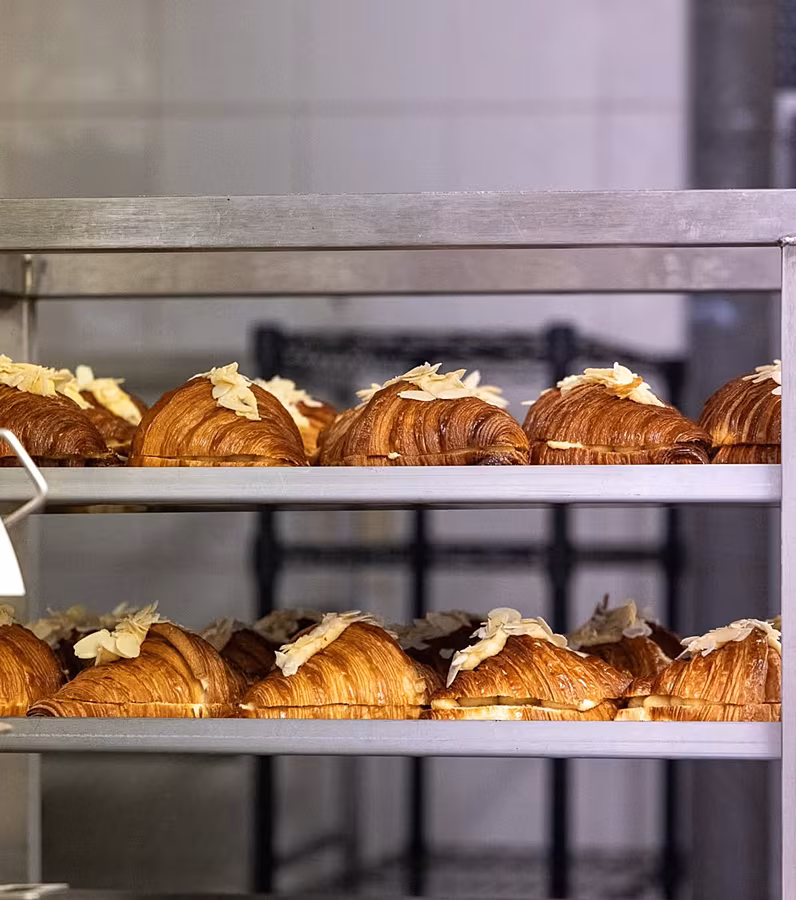 Arty-baker-