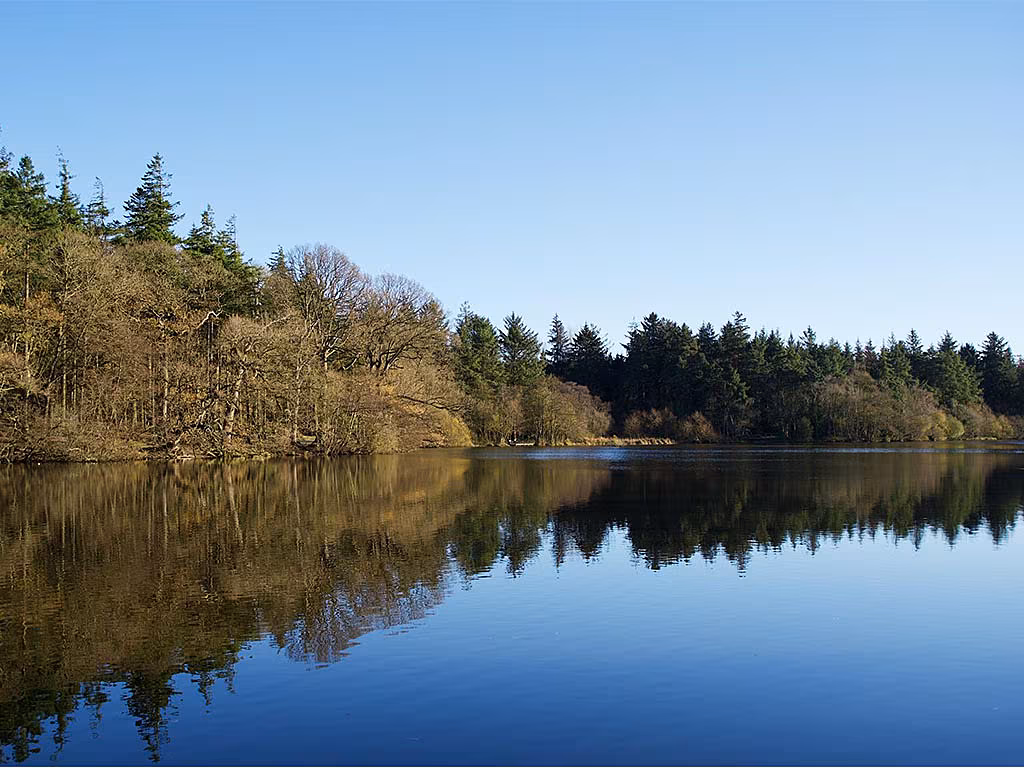 Hillsborough Forest Park