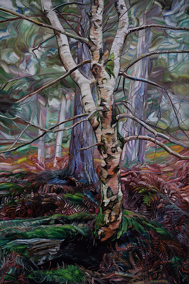 Vera Klute - Birch