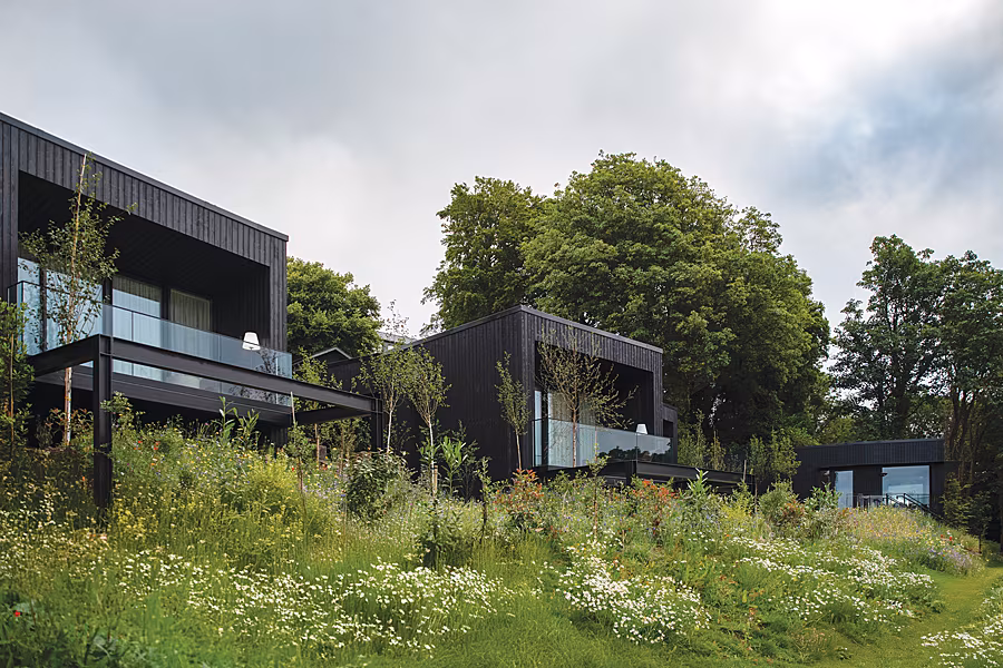 Woodland_Exterior_RoisinLafferty_HJL_RuthMaria_01