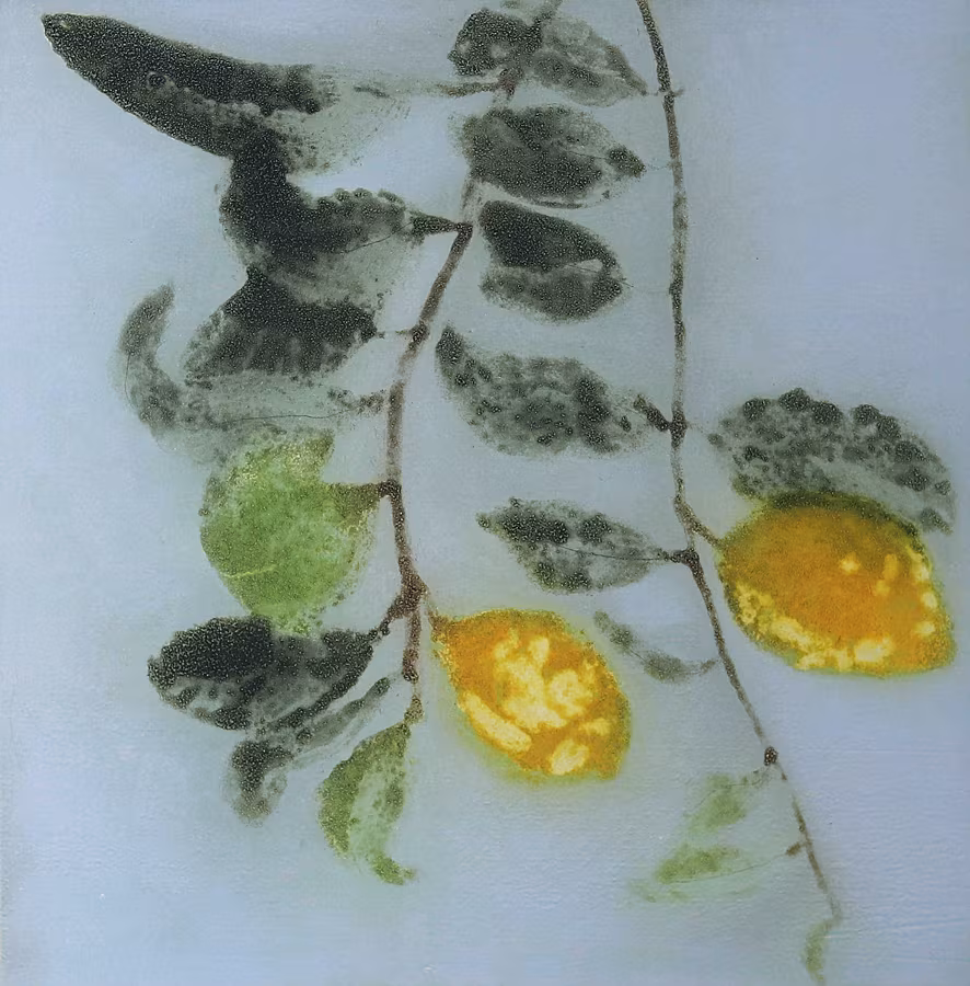 ClionaDoyle,-Lemons_40x42cm-