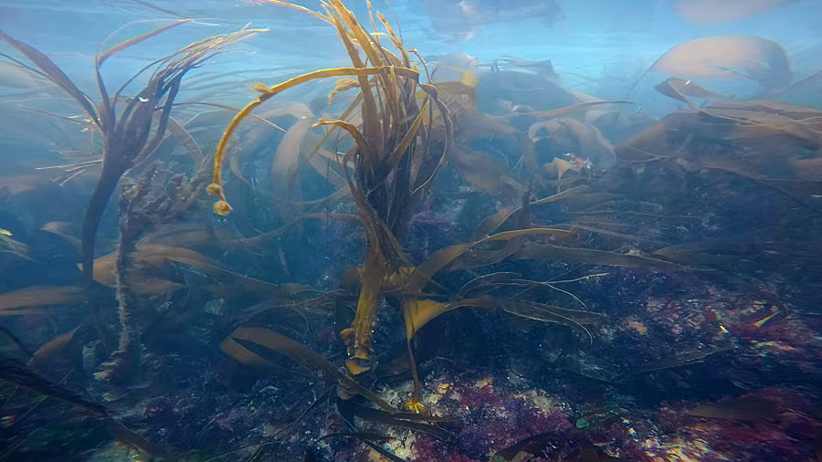 Rachel-Joynt,-Breathe-4.8,-film-still,-footage-of-rapids-at-Lough-Hyne-