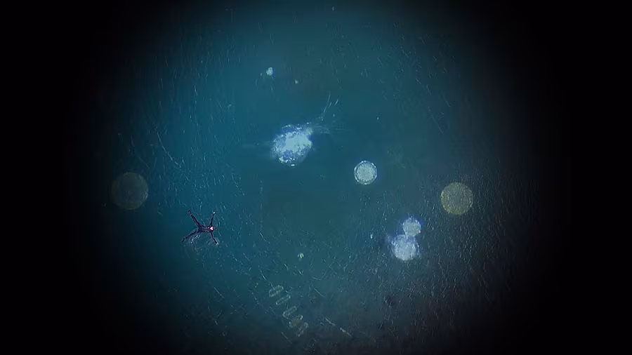 20.Rachel-Joynt,-Invisable-Becomes-Visable,-film-still,-drone-footage-of-Lough-Hyne-overlayed-with-microscopic-footage-of-water-sample-