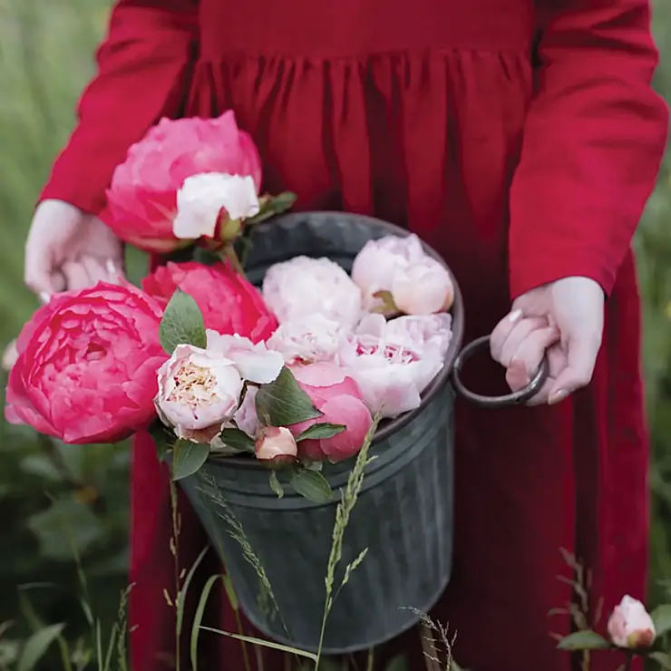 @bellmeadowflowers