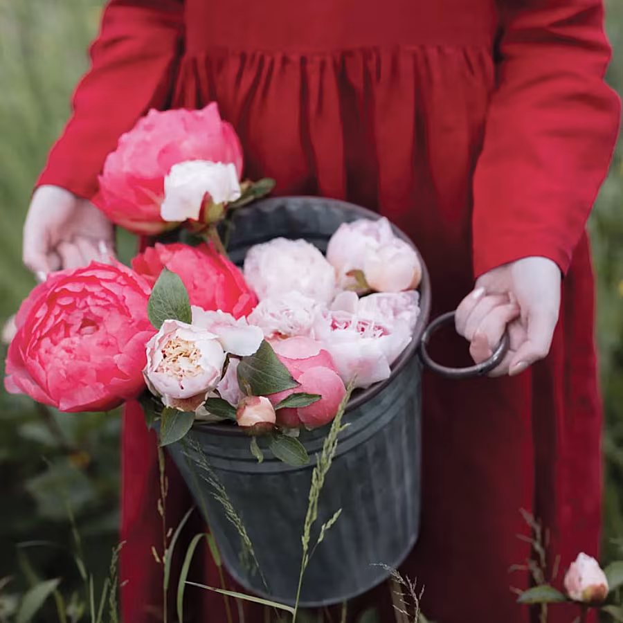 Flower Farms Ireland