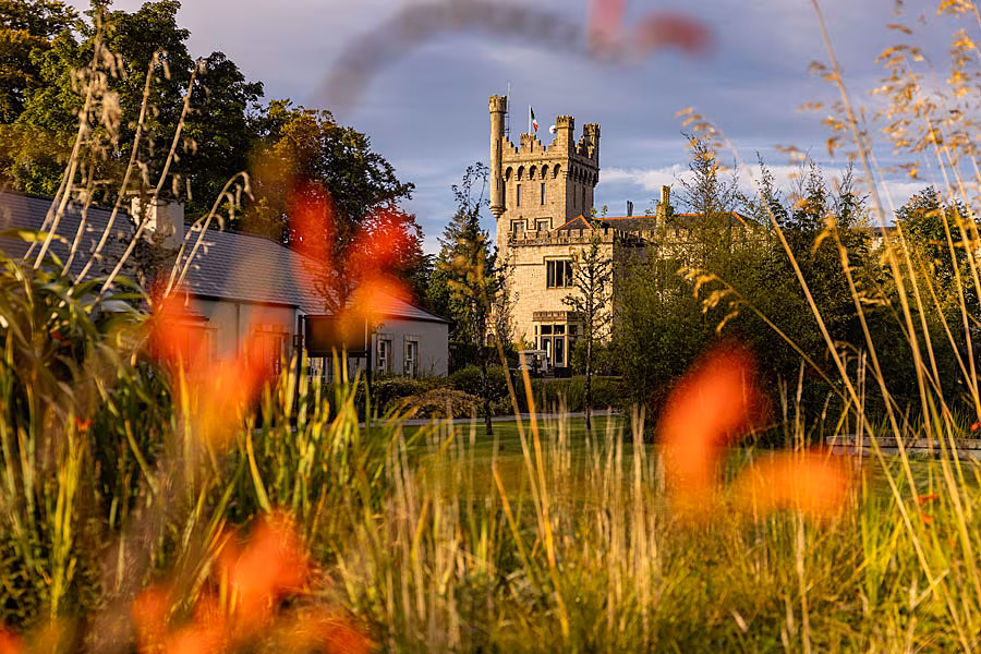 Lough-Eske-Castle-Walled-Gardens-Wild-Flowers