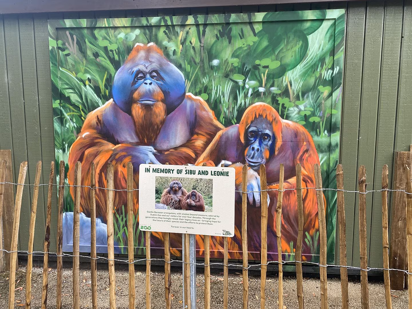Dublin Zoo
