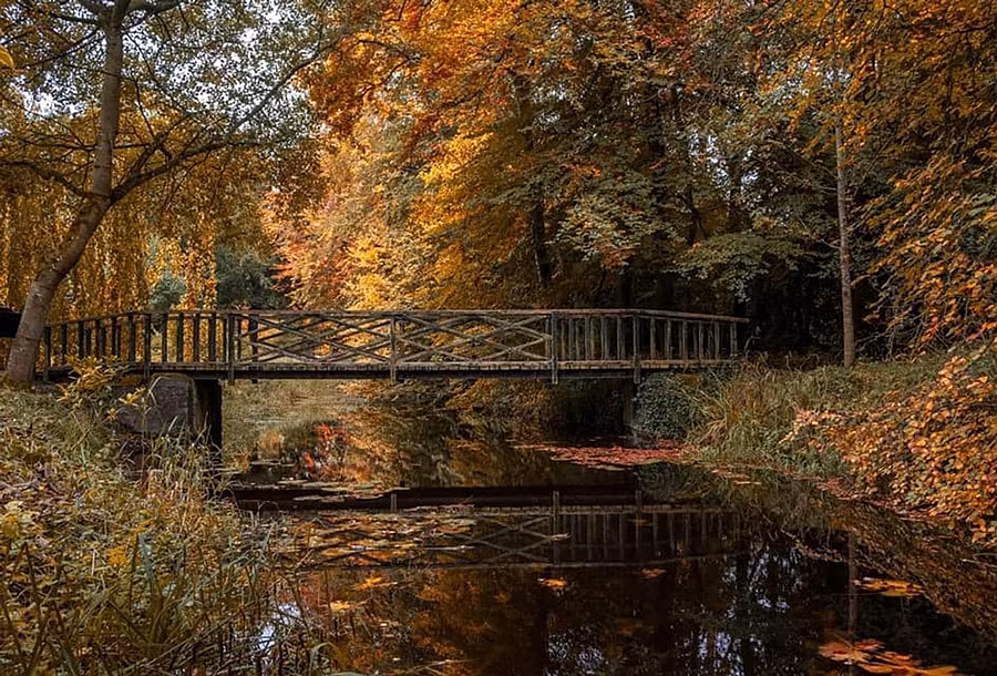 Alison-Rosse-Bridge,-Birr-Castle-Demesne-Paul-Moore