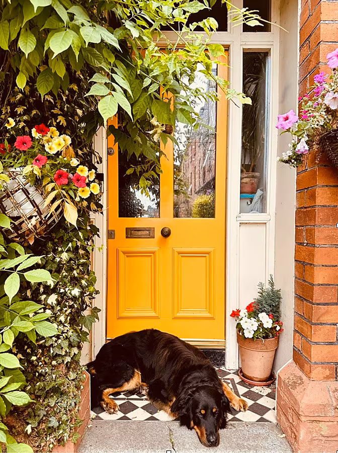 V---Front-door