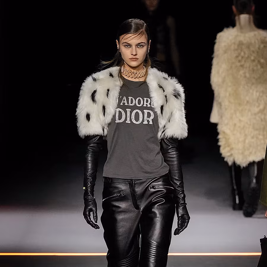 dior-f25-050-67c717ab442d4-copy