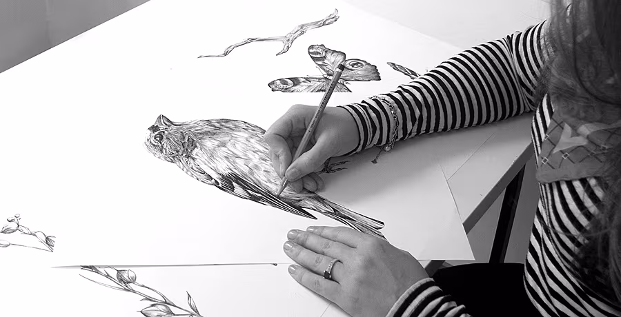 GOHI_drawing