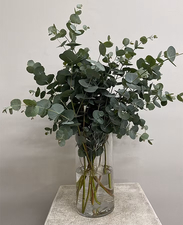 tanners-foliage-pic