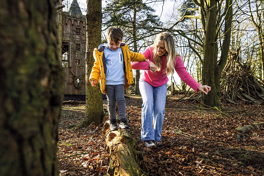 Castle-Espie-Woods