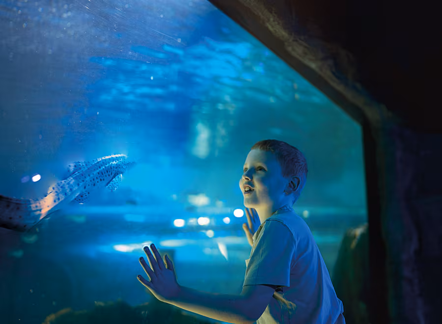 Exploris