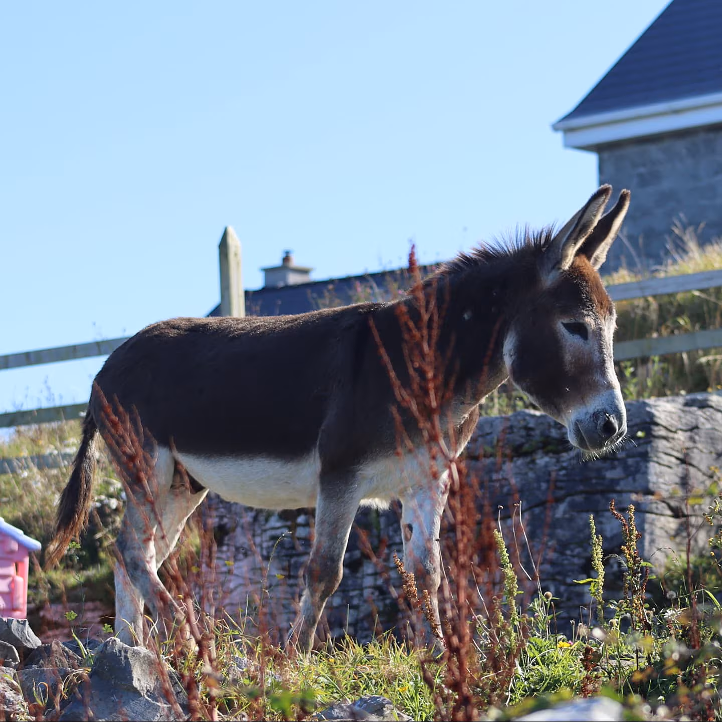 Kilronan Holiday Home