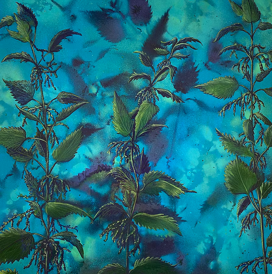 Butterfly-Nursery--(2)