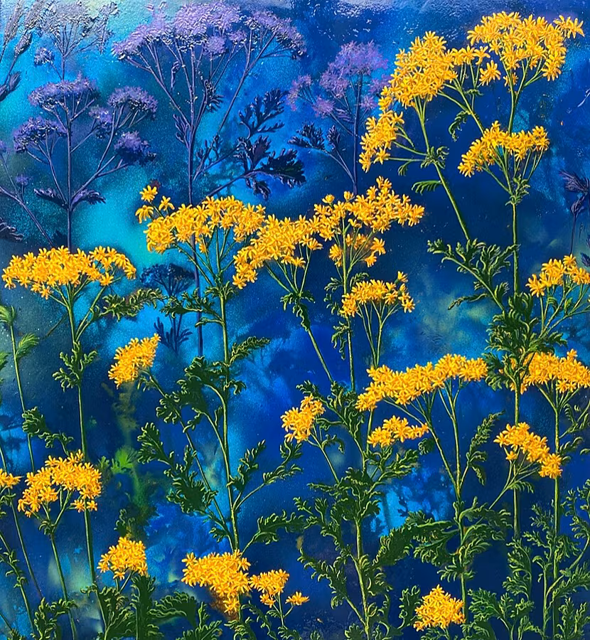 Blazing-Ragwort-60X60cm-Acrylic-with-oil-glazes-on-aluminium-