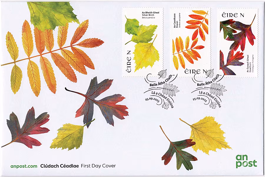 FDC-sept2025