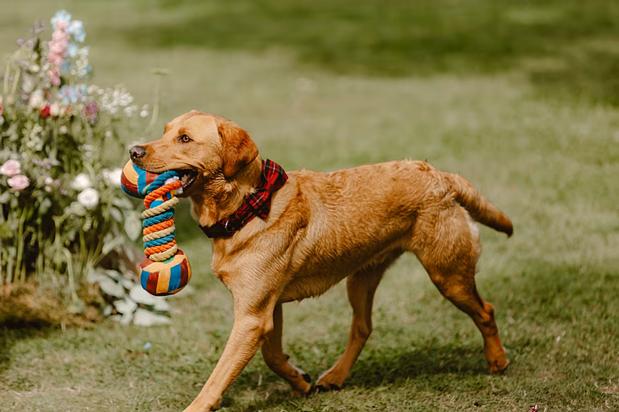 Judith-&-Andy's-Wedding-by-Ricky-Parker-Photography-472