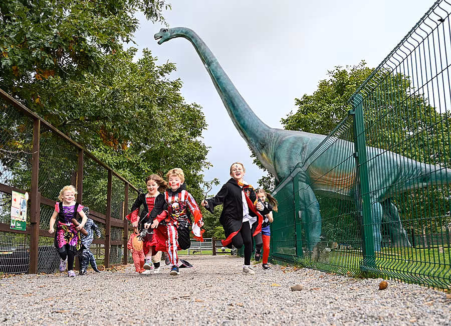 Jurassic-Park---Newpark