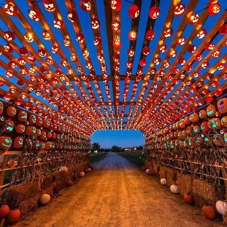 Pumpkin Land