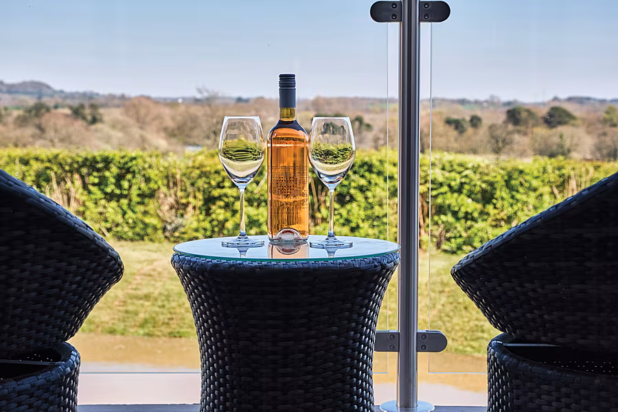 Llanerch-Superior-Room-Terrace