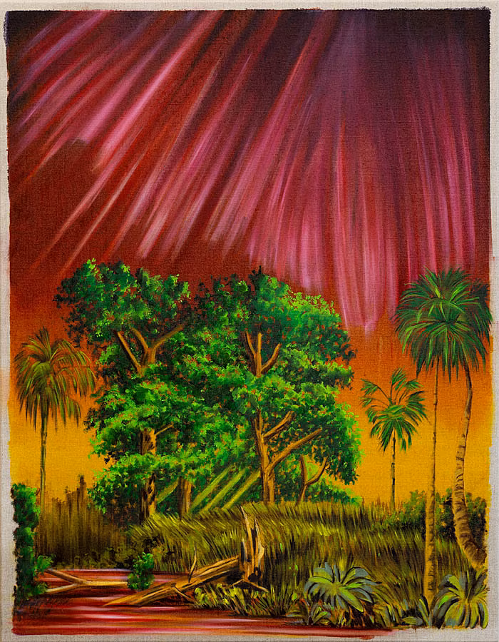 Swamp
