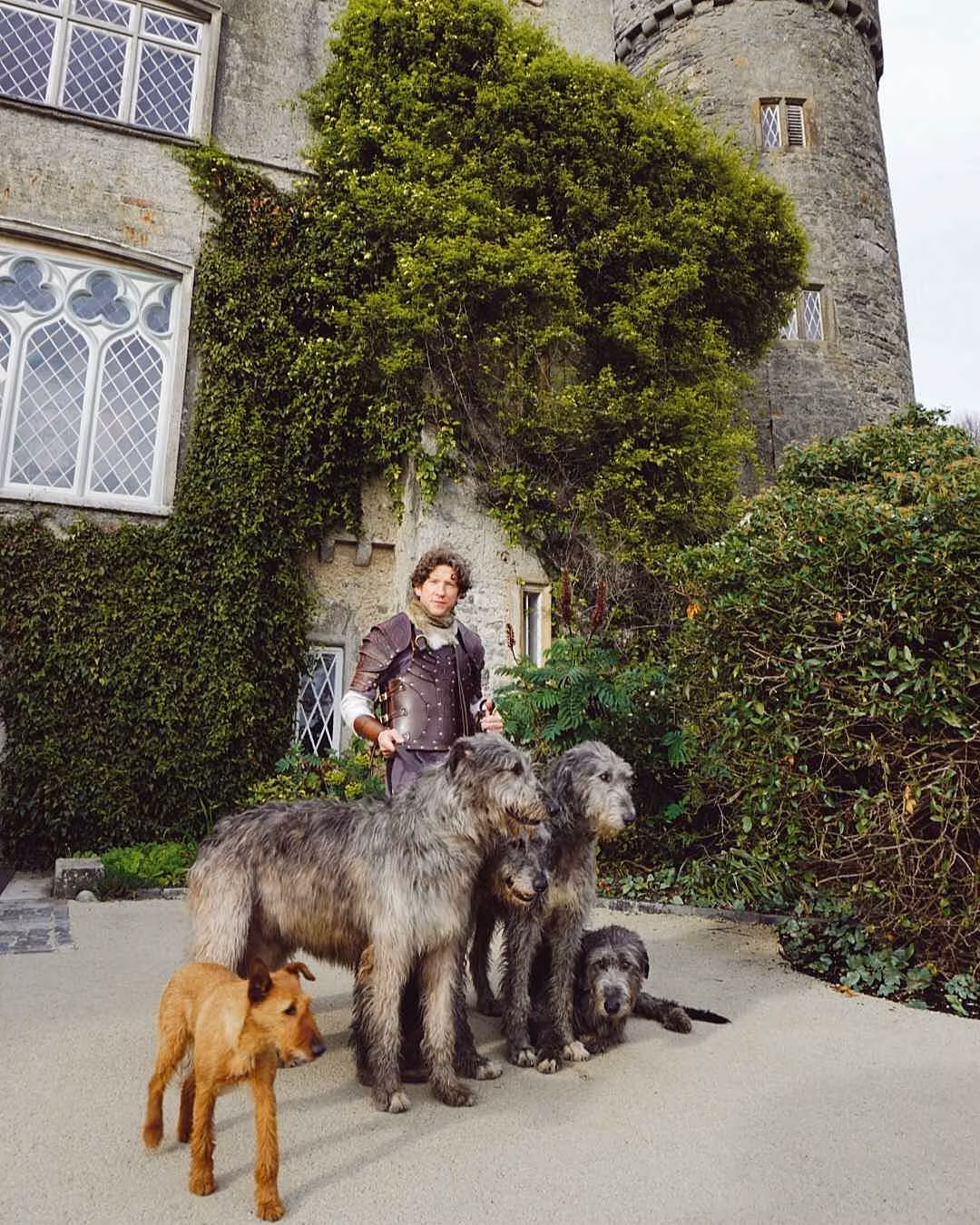 Malahide Castle & Gardens 2