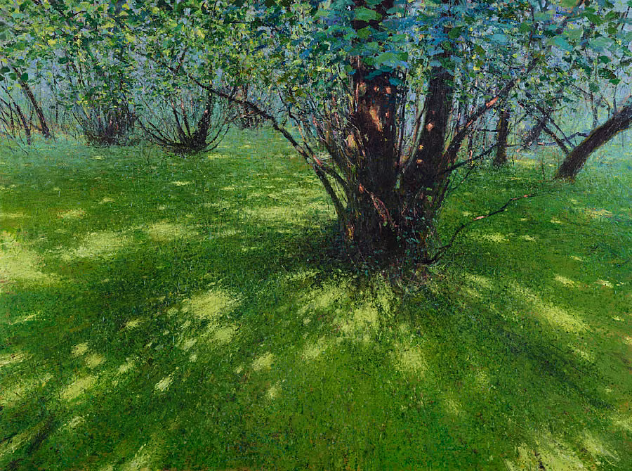 Andrew-Gifford_Alders-on-Spagnum-Moss,-Glengarriff,-West-Cork,-2025