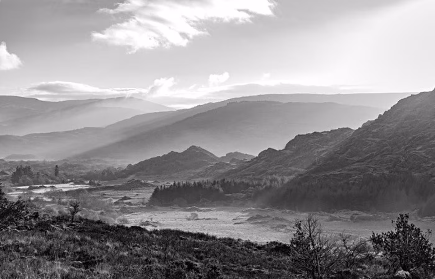S G WHEELER_ BLACK VALLEY