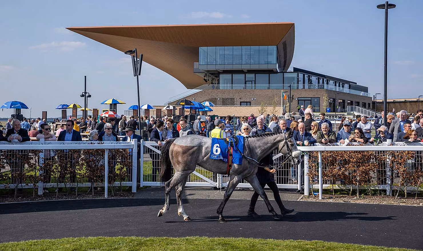 The-Curragh-4