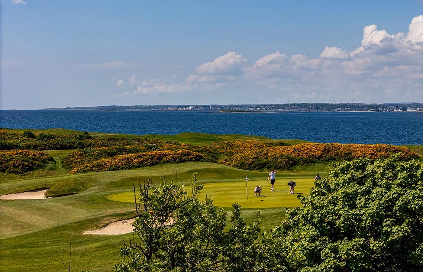 The Hawthorn Galway Bay