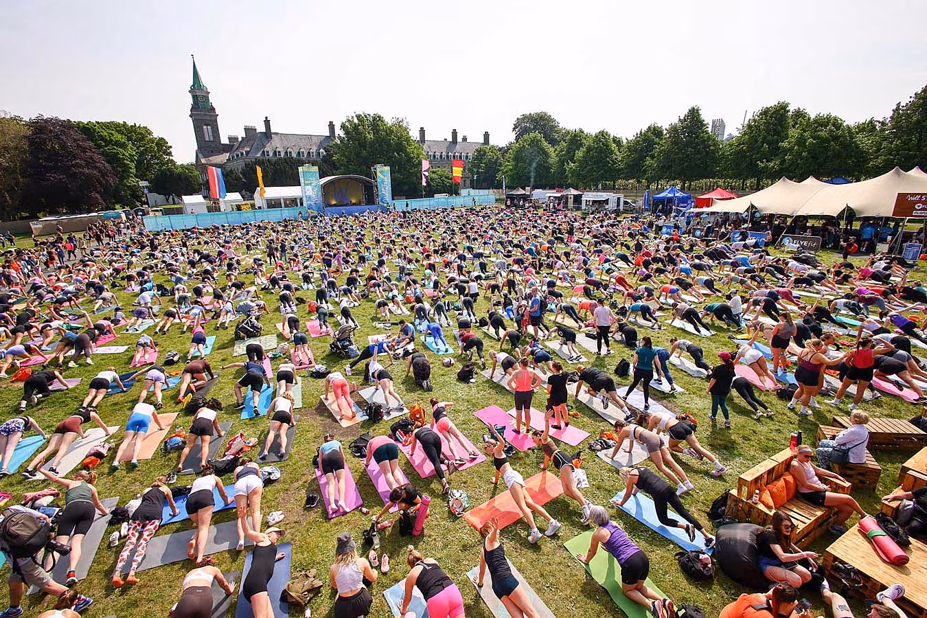 WELLFEST