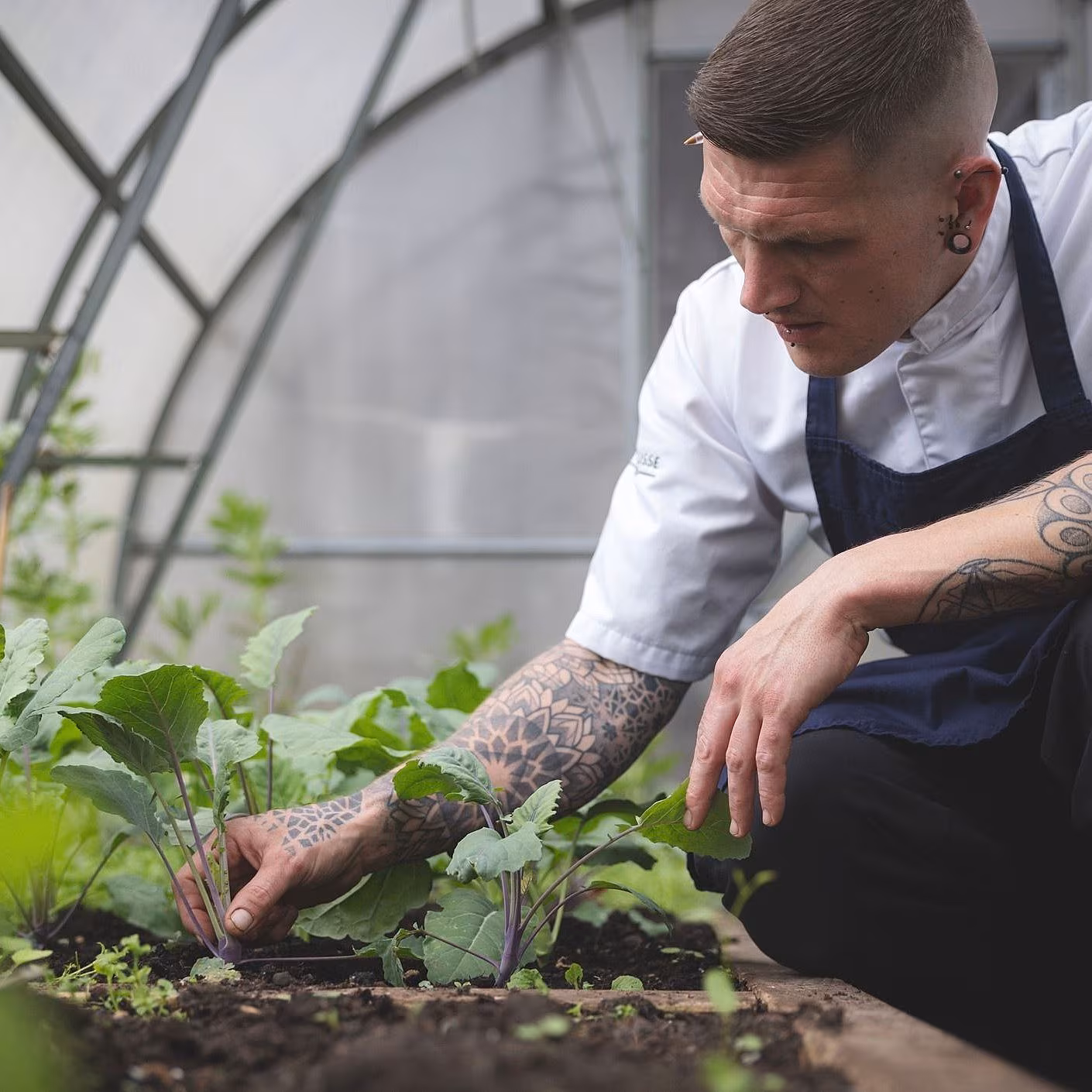 Eccles Hotel Head Chef Edward Atwell