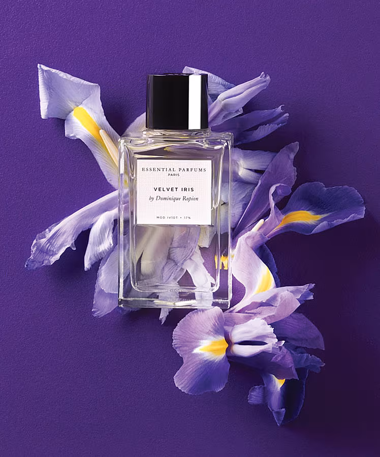 Velvet-Iris