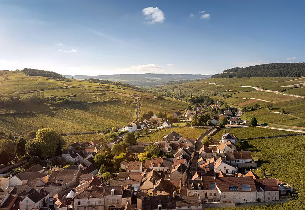Burgundy-vineyards---Aerial-views-(7)
