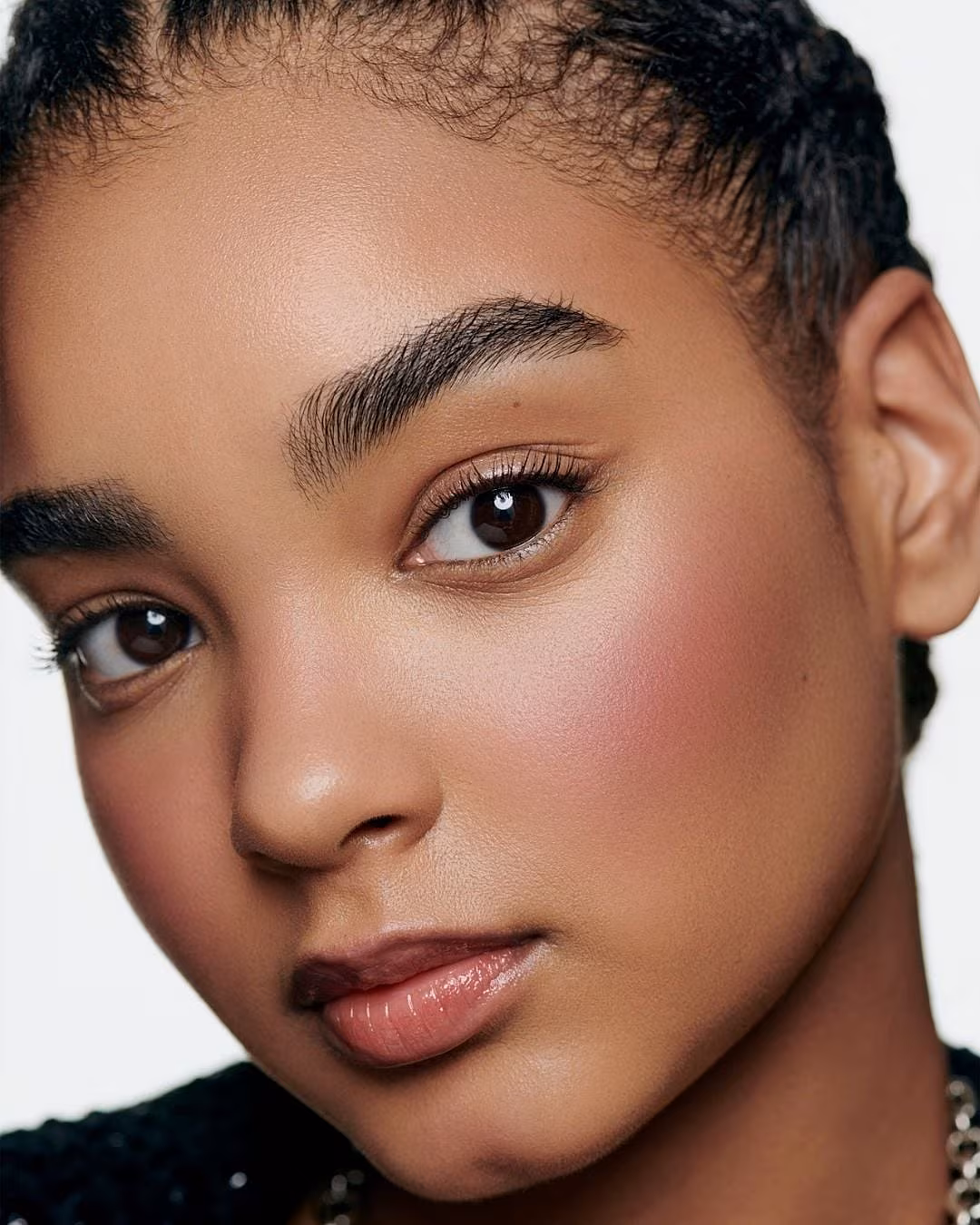 CHANEL LES BEIGES Healthy Glow Blush