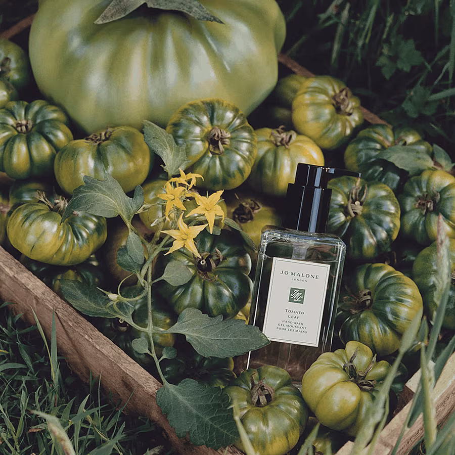 Jo-Malone-London-Tomato-Leaf-Hand-Wash-250ml