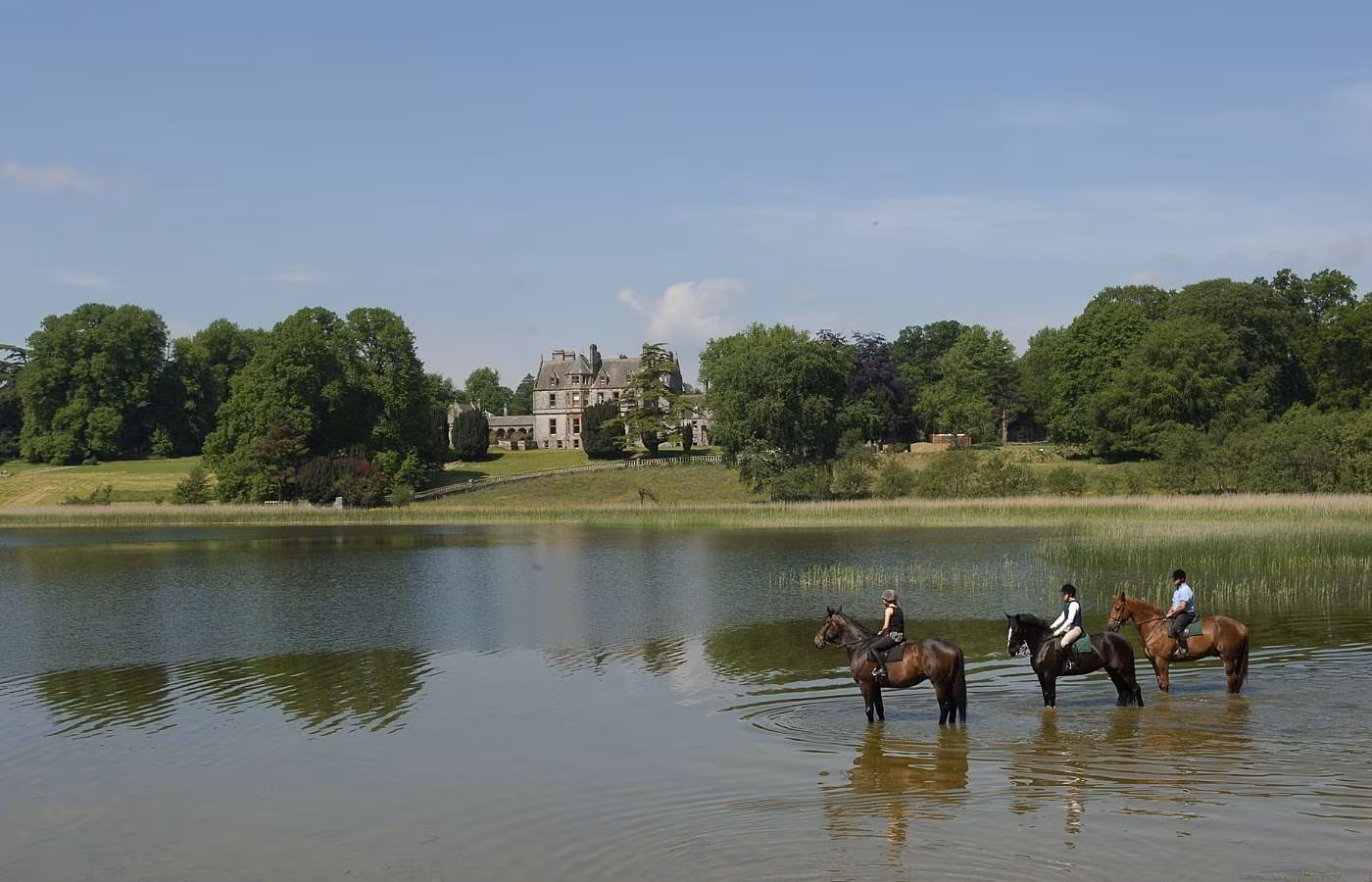 Castle Leslie