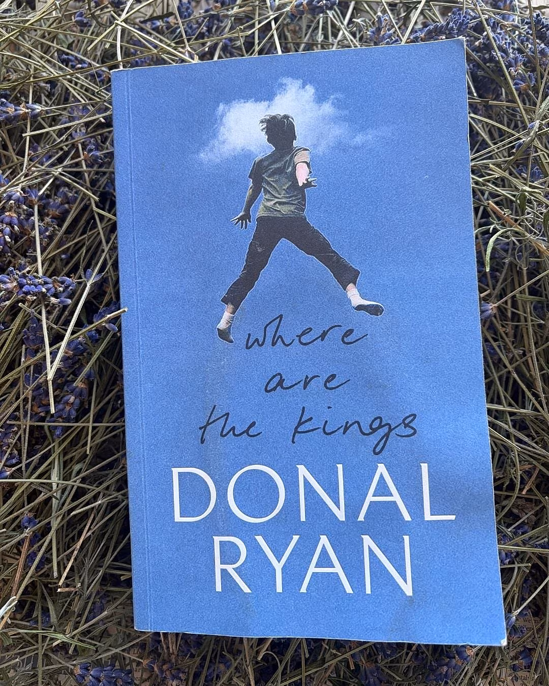 Donal Ryan