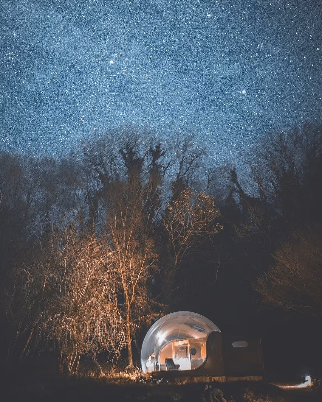 Forest Bubble Dome at Finn Lough, Co Fermanagh