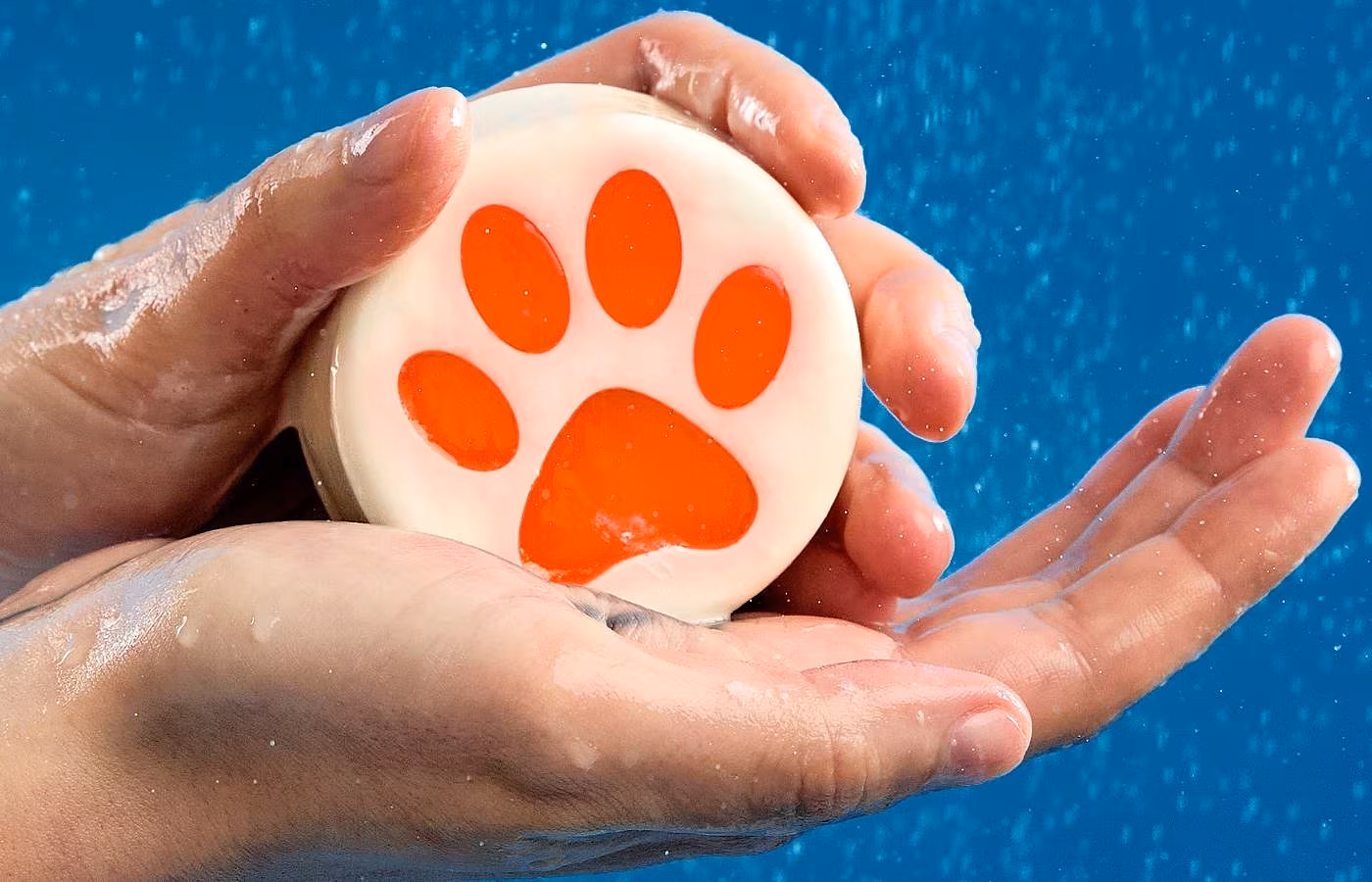 Lush Dog Advocacy Ireland
