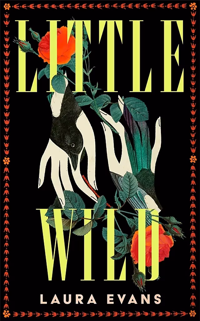 Little Wild Laura Evans