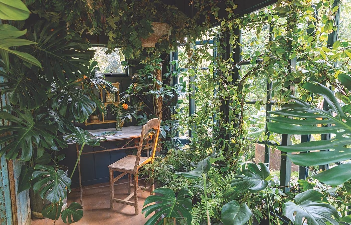 @RHSCHELSEA