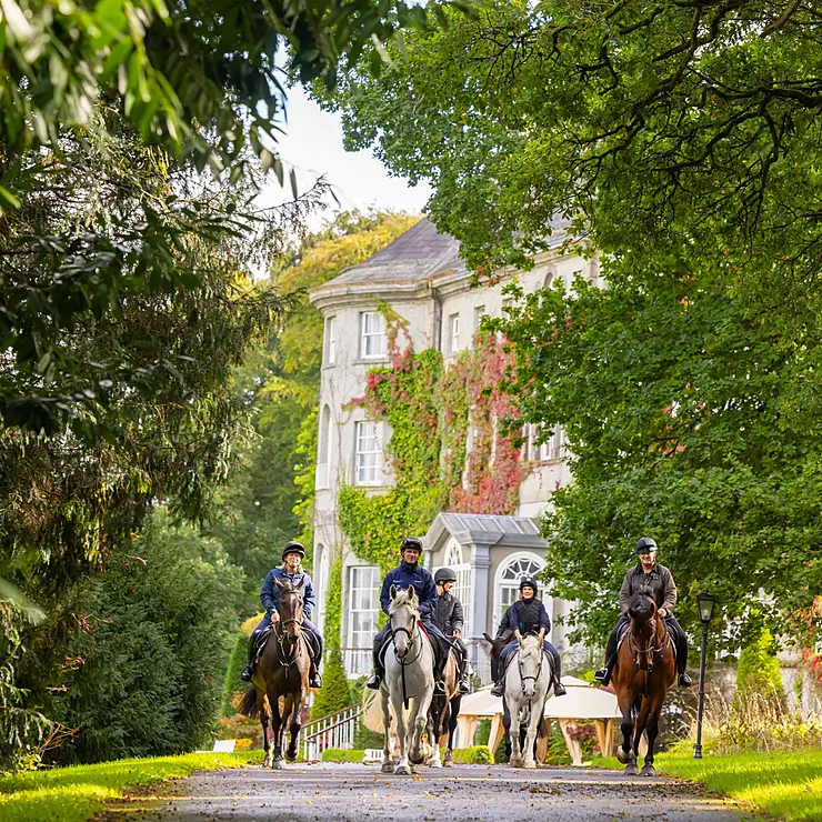 MOUNT JULIET