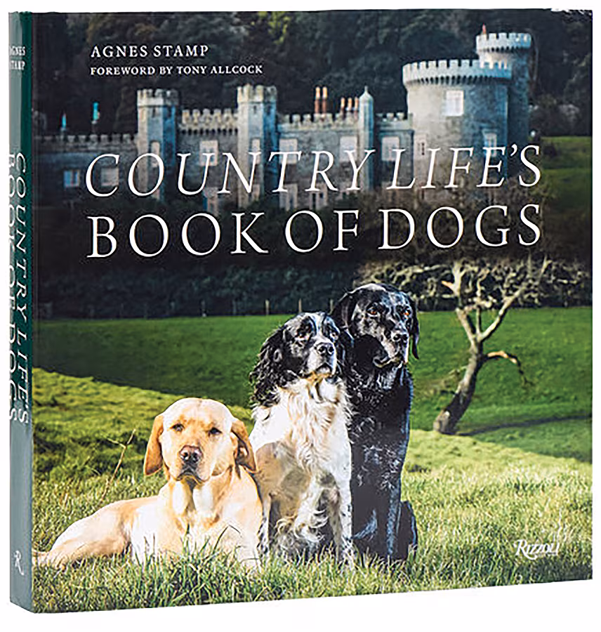 Country-Life's-Book-Of-Dogs