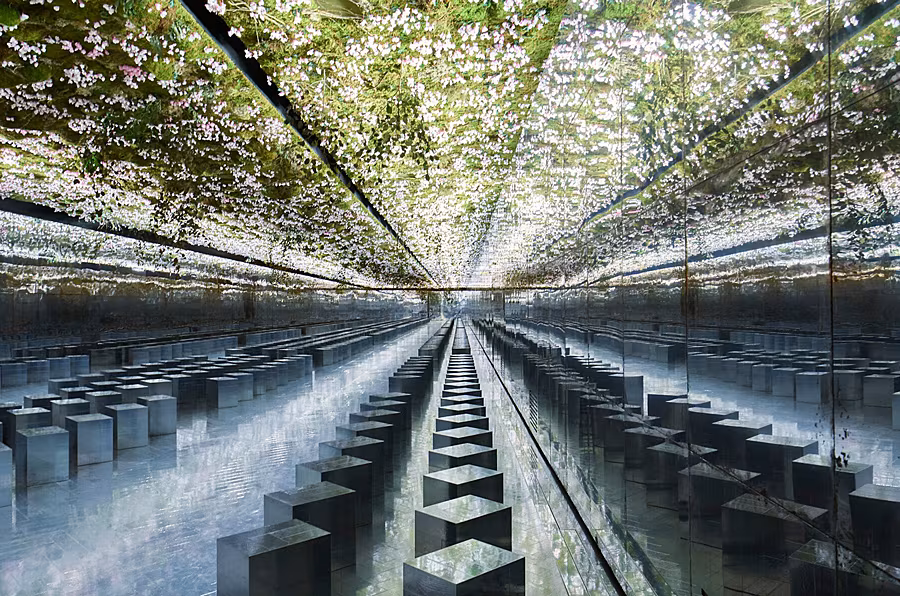 Dior-show