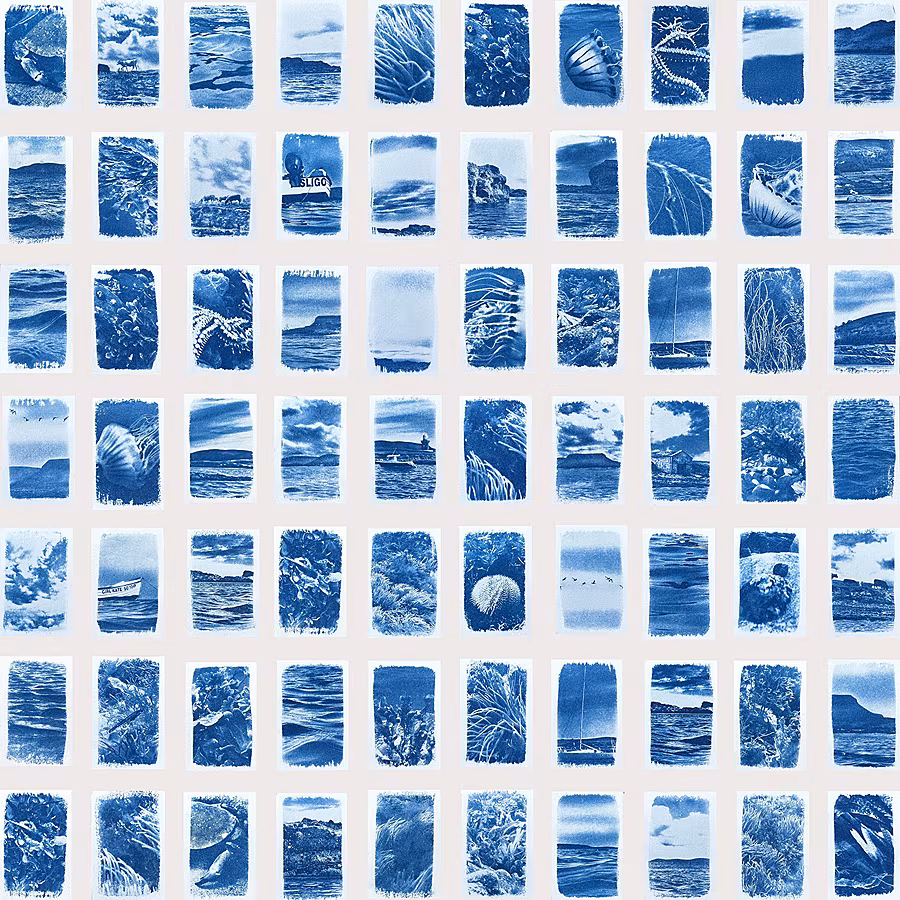 Rachel-Martin,-Collecting-Memories,-Cyanotype-on-BFK-paper,-78-x-78cm,-€850,-2026,-Edition-of-1