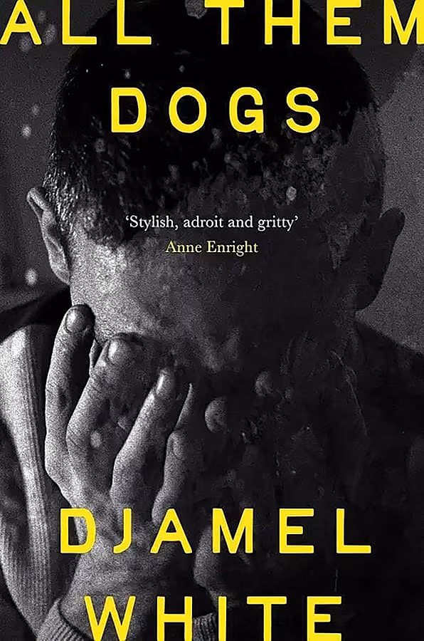 dogs