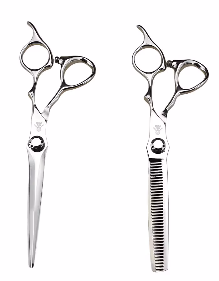 Dylan Bradshaw
